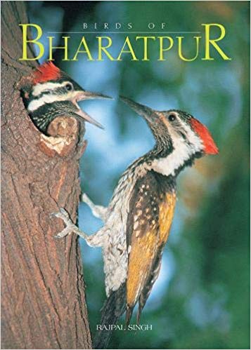 Finger Print Birds of Bharatpur